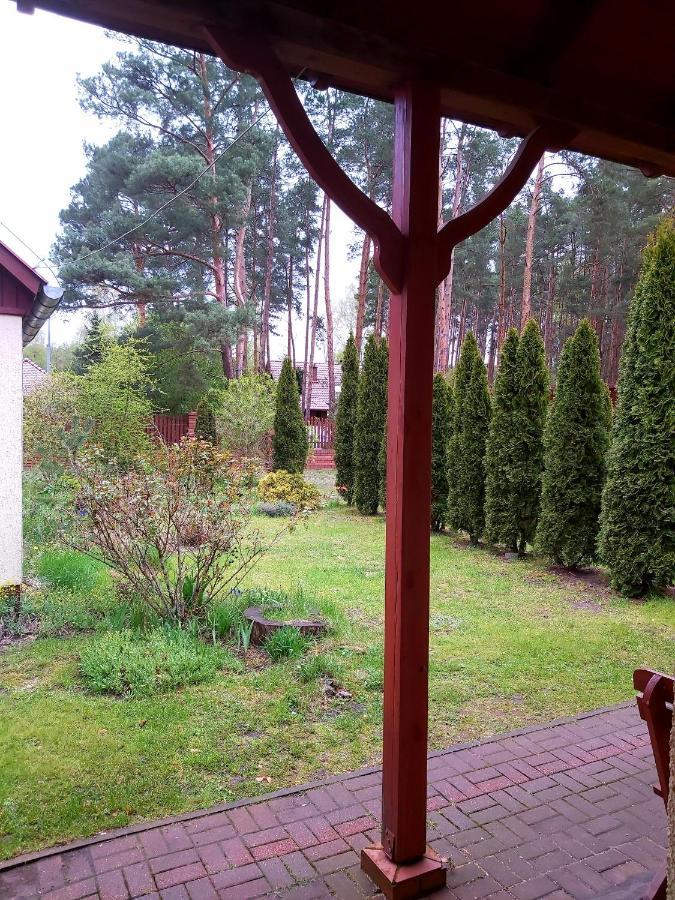 Drzewosfera Leilighet Wilcze  Eksteriør bilde